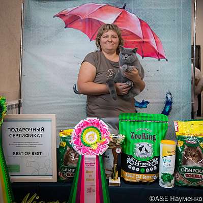 �������� ����� 17-18.09.2022 ���������� 17-52-0476_klk_Moskva.jpg