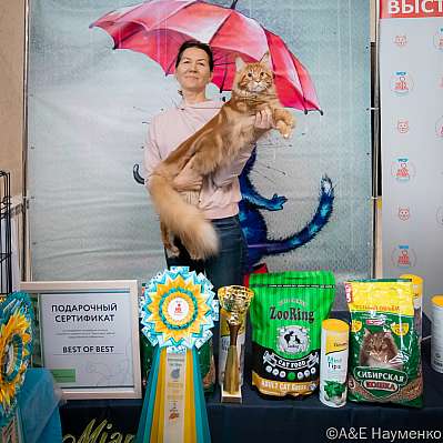 �������� ����� 17-18.09.2022 ���������� 2-7-0520_klk_Moskva.jpg