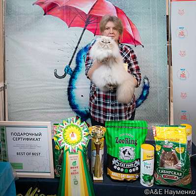 �������� ����� 17-18.09.2022 ���������� 3-26-0519_klk_Moskva.jpg