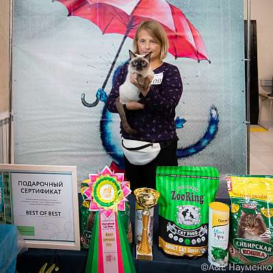 �������� ����� 17-18.09.2022 ���������� 4-109-0518_klk_Moskva.jpg