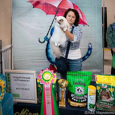 �������� ����� 17-18.09.2022 ���������� 6-113-0517_klk_Moskva.jpg