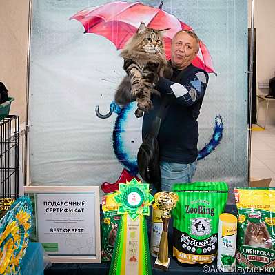 �������� ����� 17-18.09.2022 ���������� 7-21-0516_klk_Moskva.jpg