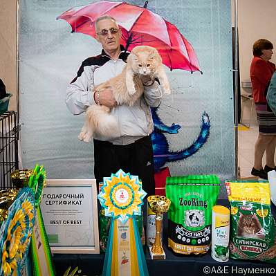 �������� ����� 17-18.09.2022 ���������� 9-12-0509_klk_Moskva.jpg