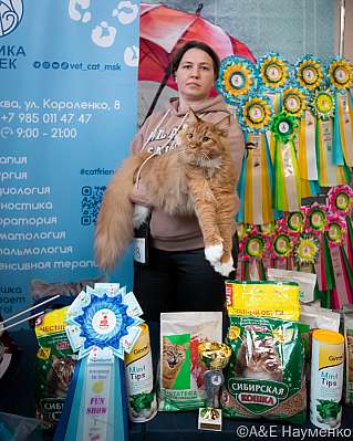 �������� ����� 17-18 �������� 2022 �., ������������ � ������ ���.