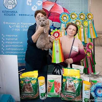 �������� ����� 17-18.09.2022 ���������� 7-56-0335_klk_Moskva.jpg