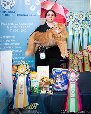 �������� ����� 17-18 �������� 2022 �., ������������ � ������ ���.