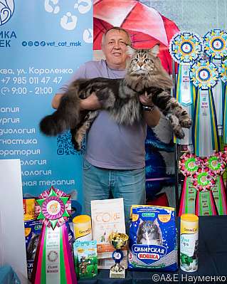 �������� ����� 17-18.09.2022 ���������� 2-21-0106_klk_Moskva.jpg