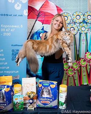 �������� ����� 17-18.09.2022 ���������� 3-14-0108_klk_Moskva.jpg