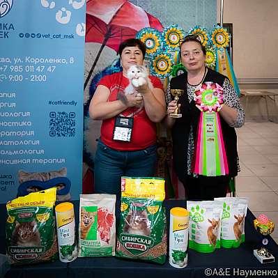 �������� ����� 17-18 �������� 2022 �., ������������ � ������ ���.