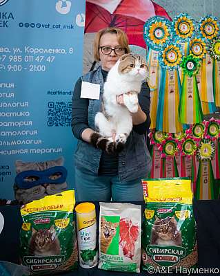 �������� ����� 17-18.09.2022 ���������� 5-86-0467_klk_Moskva.jpg