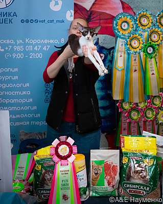 �������� ����� 17-18.09.2022 ���������� 6-119-0409_klk_Moskva.jpg