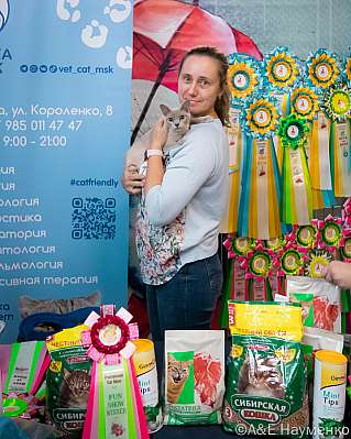 �������� ����� 17-18.09.2022 ���������� 7-71-0414_klk_Moskva.jpg