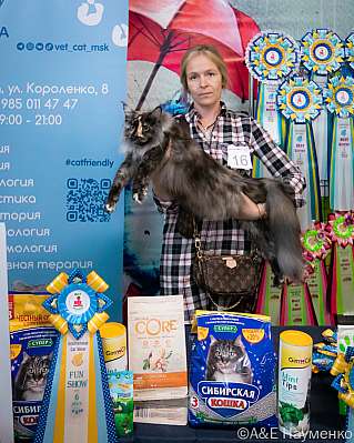 �������� ����� 17-18.09.2022 ���������� 6-16-0182_klk_Moskva.jpg