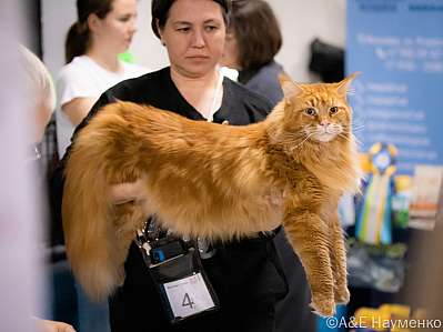 �������� ����� 17-18.09.2022 ���������� 7-8-0165_klk_Moskva.jpg