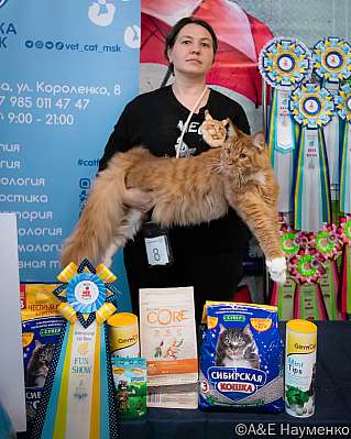 �������� ����� 17-18.09.2022 ���������� 8-4-0199_klk_Moskva.jpg