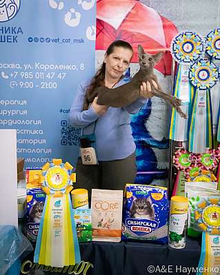 �������� ����� 17-18.09.2022 ���������� 10-96-0024_klk_Moskva.jpg