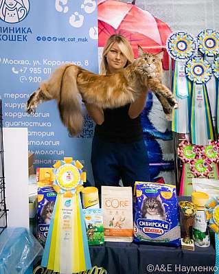 �������� ����� 17-18.09.2022 ���������� 5-14-0033_klk_Moskva.jpg