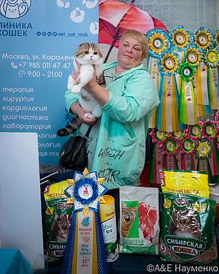 �������� ����� 17-18.09.2022 ���������� 10-86-0295_klk_Moskva.jpg