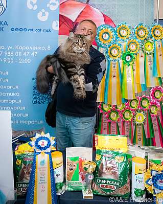 �������� ����� 17-18.09.2022 ���������� 5-21-0304_klk_Moskva.jpg