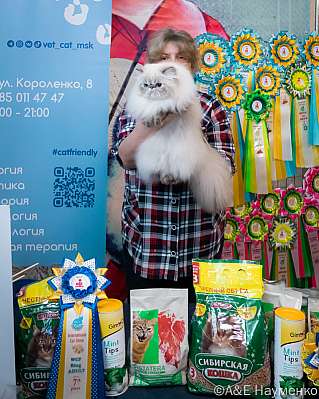 �������� ����� 17-18.09.2022 ���������� 7-26-0300_klk_Moskva.jpg