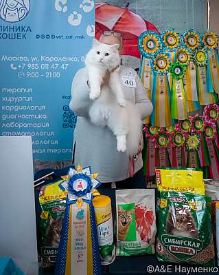 �������� ����� 17-18.09.2022 ���������� 8-40-0299_klk_Moskva.jpg