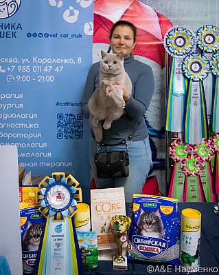 �������� ����� 17-18 �������� 2022 �. WCF-�����