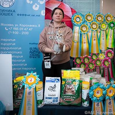 �������� ����� 17-18.09.2022 ���������� 10-84-0269_klk_Moskva.jpg