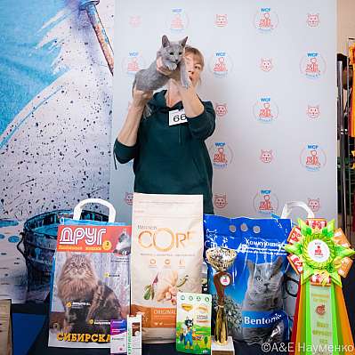 �������� ����� 15-16.10.2022 ���������� 12-66-0181_klk_Moskva.jpg