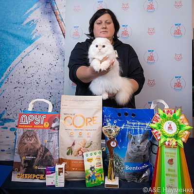 �������� ����� 15-16.10.2022 ���������� 13-29-0176_klk_Moskva.jpg