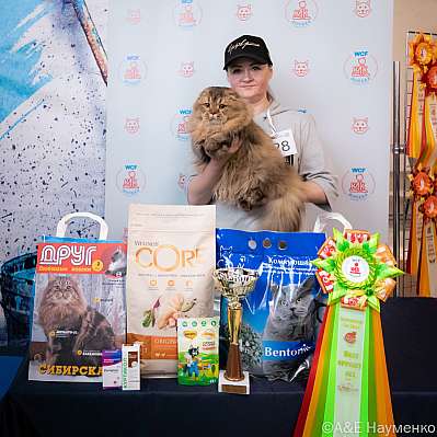 �������� ����� 15-16.10.2022 ���������� 4-28-0210_klk_Moskva.jpg