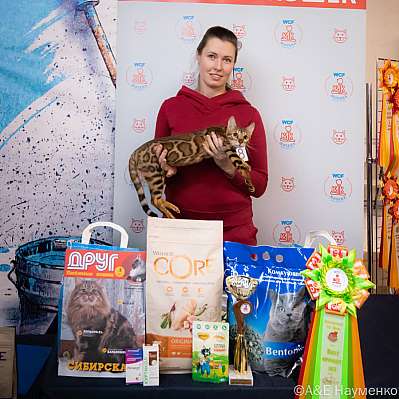 �������� ����� 15-16.10.2022 ���������� 9-48-0200_klk_Moskva.jpg