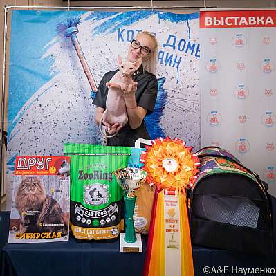   15-16.10.2022  1-63-0459_klk_Moskva.jpg