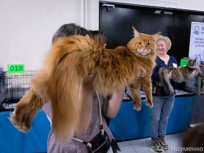   15-16.10.2022  16-6-0395_klk_Moskva.jpg