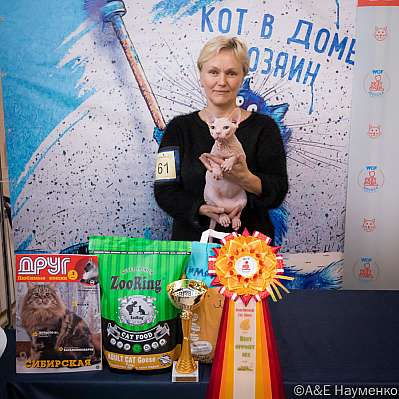   15-16.10.2022  9-61-0442_klk_Moskva.jpg