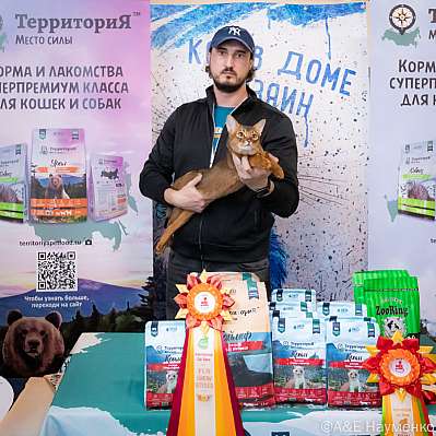 �������� ����� 15-16.10.2022 ���������� 9-43-0353_klk_Moskva.jpg