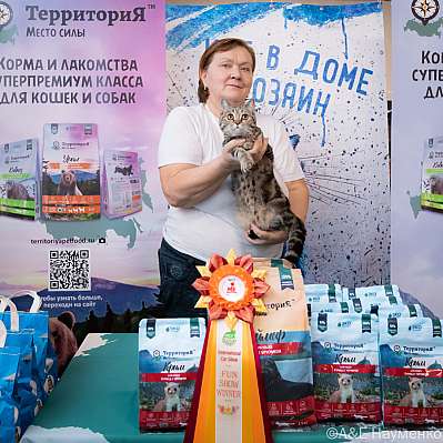 �������� ����� 15-16.10.2022 ���������� 6-73-0313_klk_Moskva.jpg