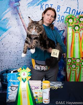 �������� ����� 15-16.10.2022 ���������� 6-84-0159_klk_Moskva.jpg