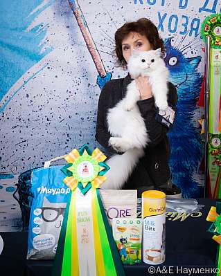 �������� ����� 15-16.10.2022 ���������� 8-24-0145_klk_Moskva.jpg