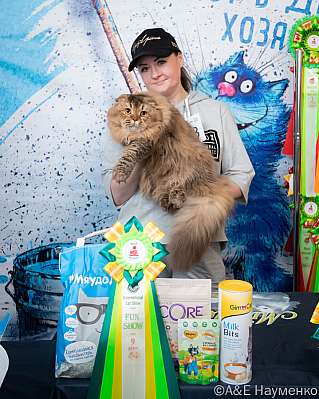 �������� ����� 15-16.10.2022 ���������� 9-28-0143_klk_Moskva.jpg