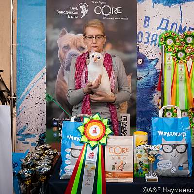 �������� ����� 15-16.10.2022 ���������� 5-79-0029_klk_Moskva.jpg