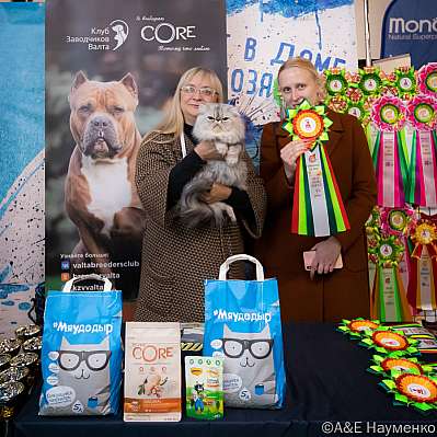 �������� ����� 15-16.10.2022 ���������� 7-22-0031_klk_Moskva.jpg