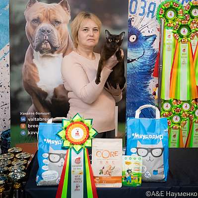 �������� ����� 15-16.10.2022 ���������� 8-106-0039_klk_Moskva.jpg