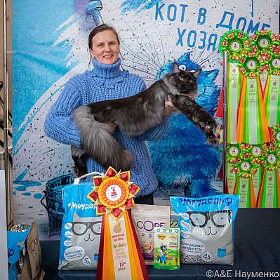 �������� ����� 15-16.10.2022 ���������� 10-19-0118_klk_Moskva.jpg