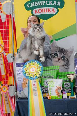 �������� ����� 29-30.10.2022 ���������� 1-14-725.jpg