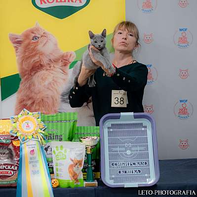 �������� ����� 29-30.10.2022 ���������� 11-38-621.jpg