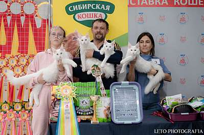 �������� ����� 29-30.10.2022 ���������� 12-3-576.jpg