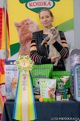 �������� ����� 29-30.10.2022 ���������� 2-60-721.jpg