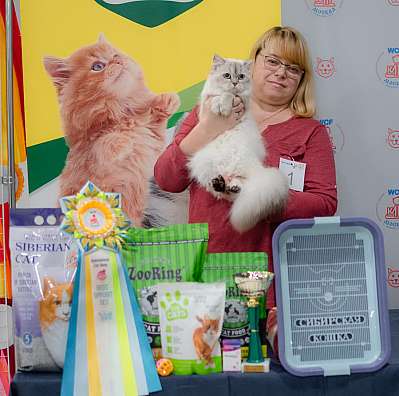 �������� ����� 29-30.10.2022 ���������� 3-1-689.jpg