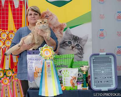 �������� ����� 29-30.10.2022 ���������� 4-43-714.jpg