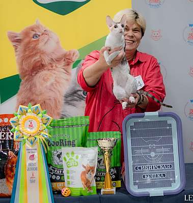 �������� ����� 29-30.10.2022 ���������� 5-54-665.jpg